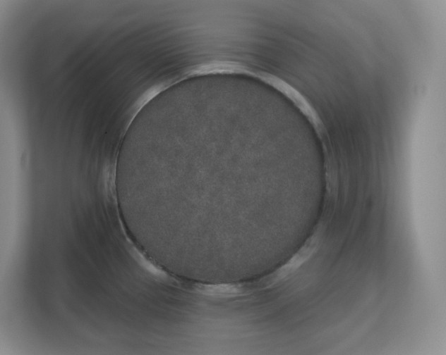X0000110761337200906291020