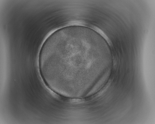 X0000110761339200906291020