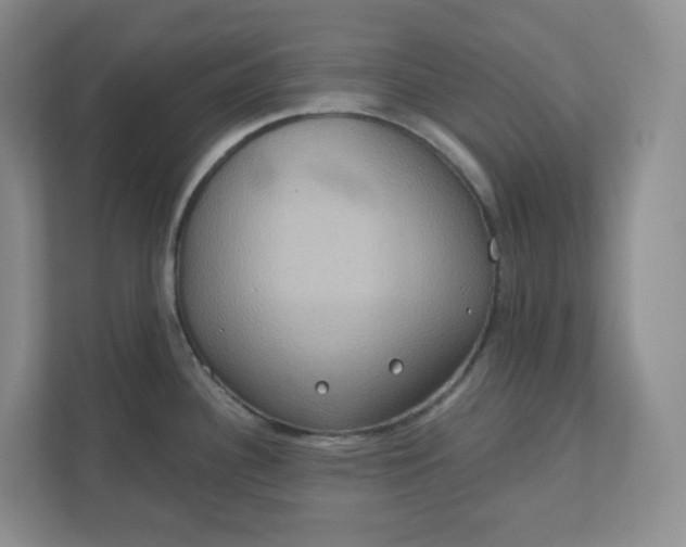 X0000110761340200906291020