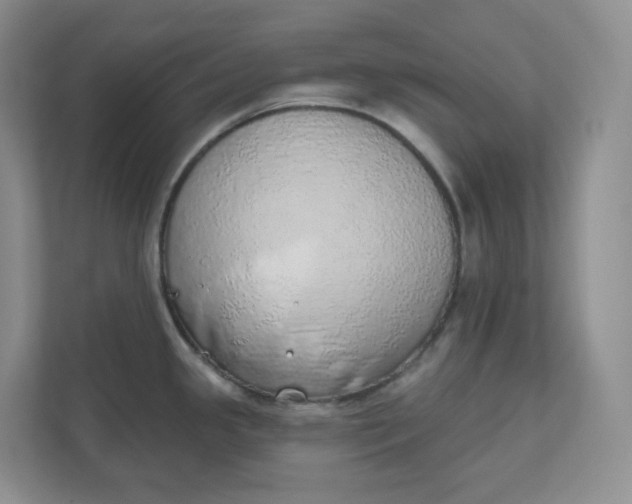 X0000110761341200906291020