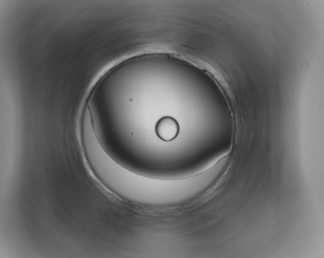 X0000110761342200906291020