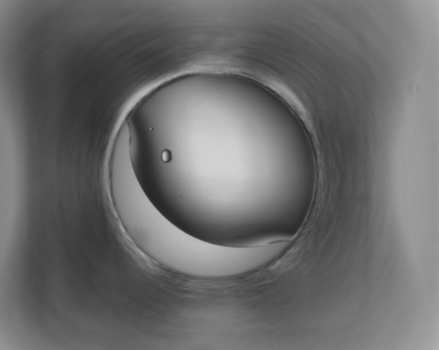 X0000110761344200906291020