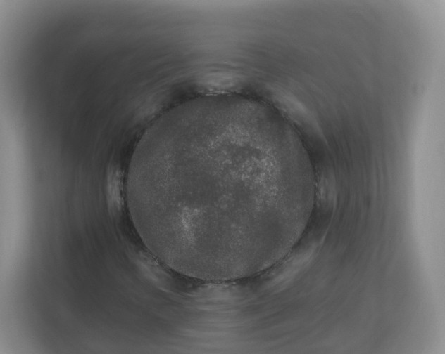 X0000110761346200906291020