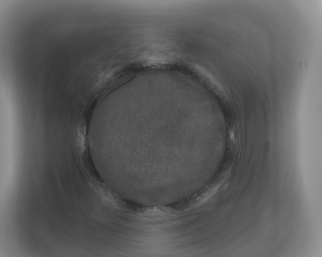 X0000110761348200906291020