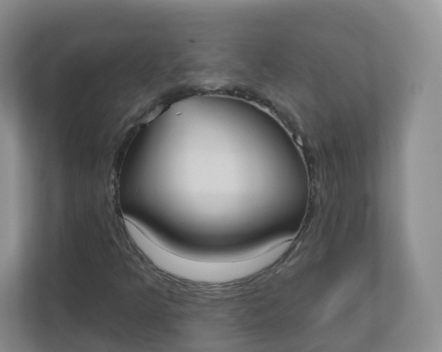 X0000110761349200906291020