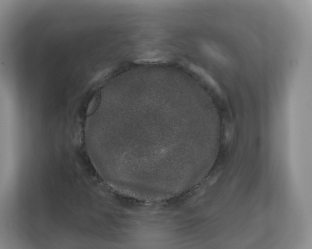 X0000110761350200906291020