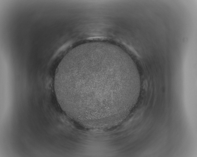 X0000110761351200906291020