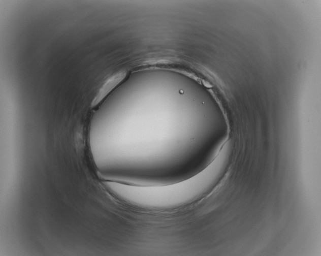 X0000110761353200906291020