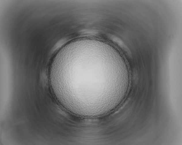 X0000110761354200906291020