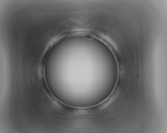 X0000110761357200906291020