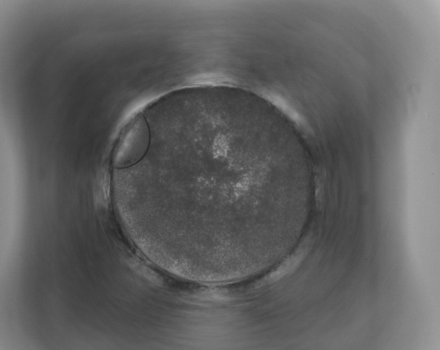 X0000110761358200906291020