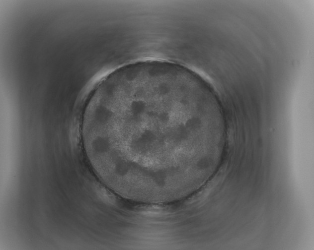 X0000110761359200906291020
