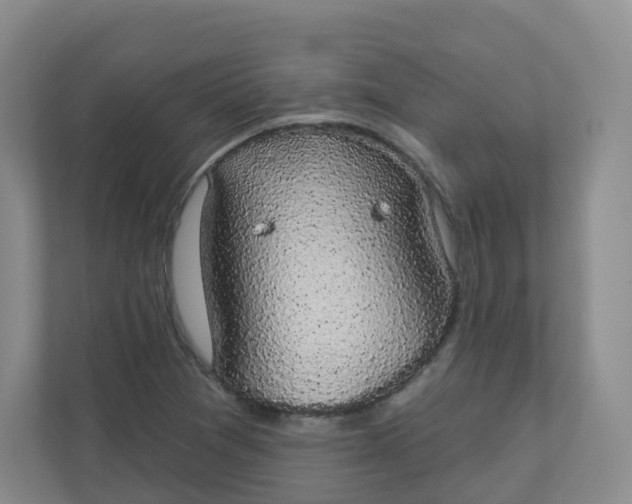 X0000110761361200906291020