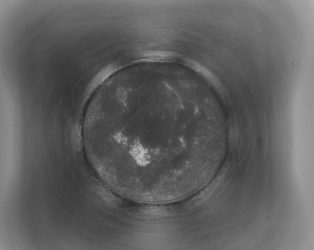 X0000110761362200906291020