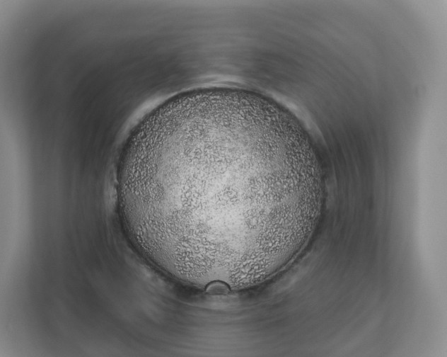 X0000110761363200906291020