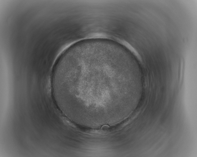 X0000110761364200906291020