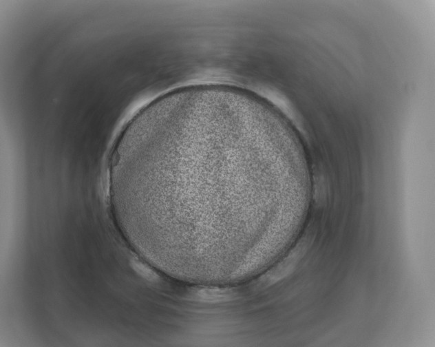 X0000110761366200906291020