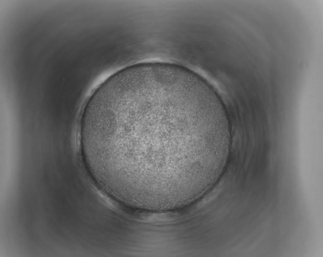 X0000110761367200906291019