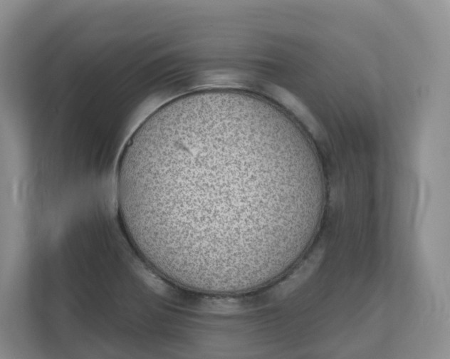 X0000110761370200906291019