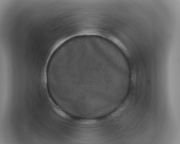X0000110761372200906291019