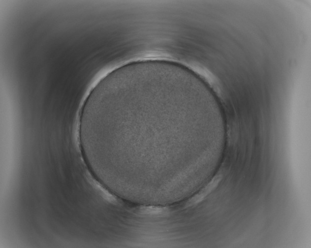 X0000110761374200906291019