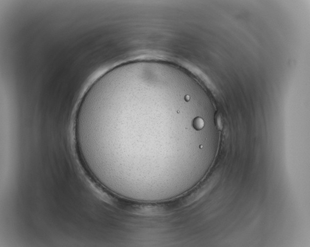 X0000110761375200906291019