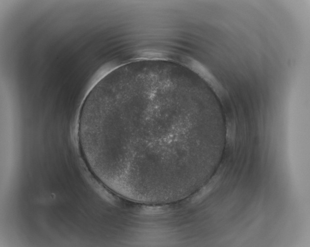 X0000110761378200906291019