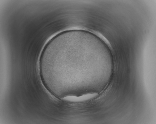 X0000110761380200906291019