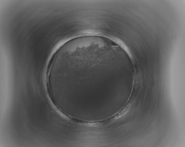 X0000110761381200906291019