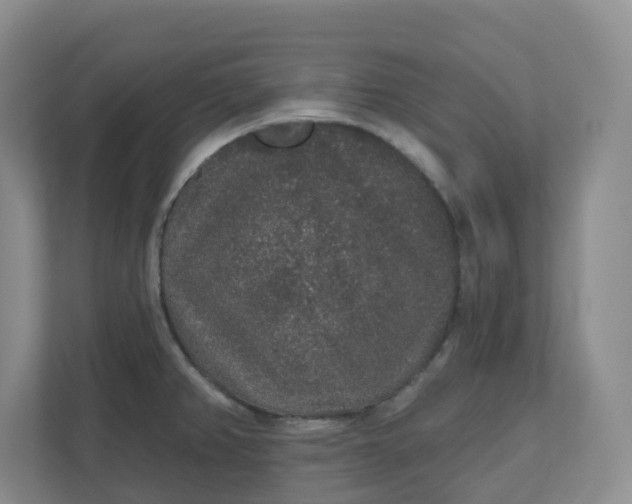 X0000110761382200906291019
