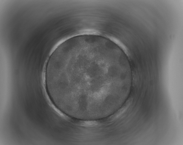 X0000110761383200906291019