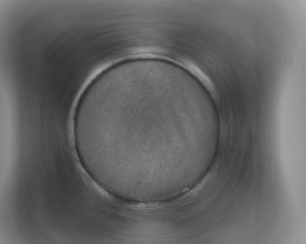 X0000110761384200906291019