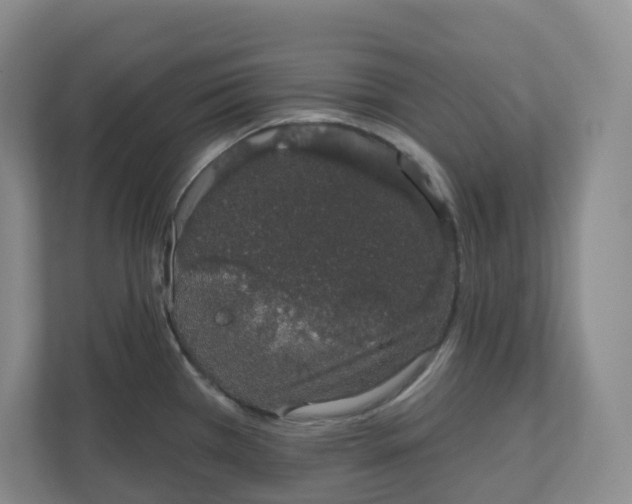 X0000110761385200906291019