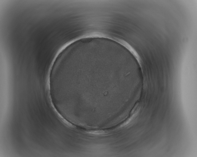 X0000110761388200906291019