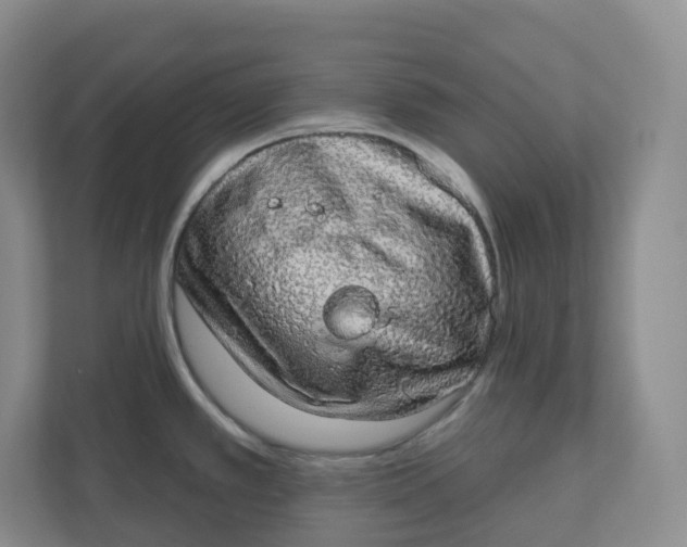X0000110761389200906291019