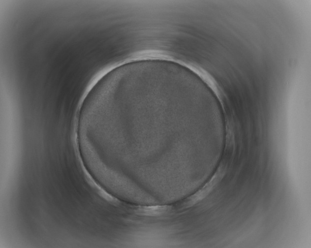 X0000110761390200906291019