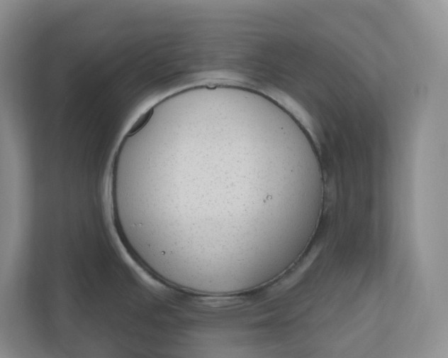 X0000110761391200906291019