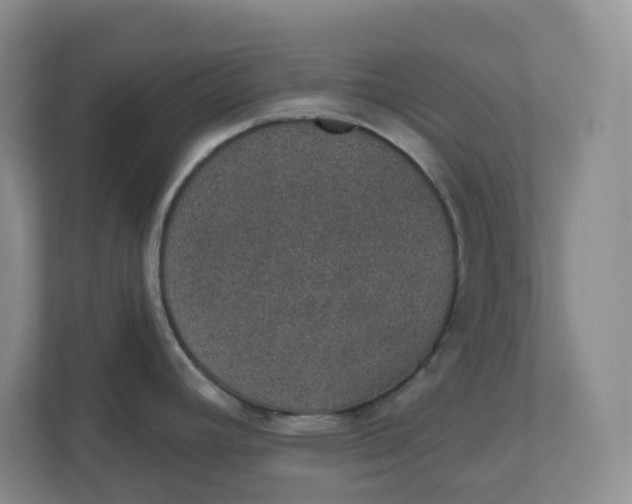 X0000110761392200906291019