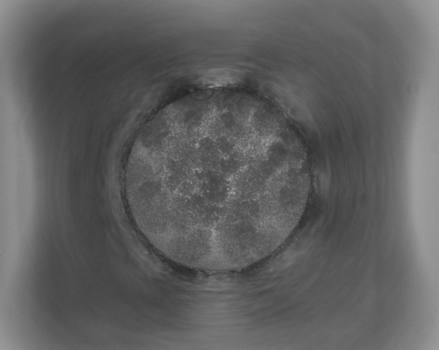 X0000110761393200906291019