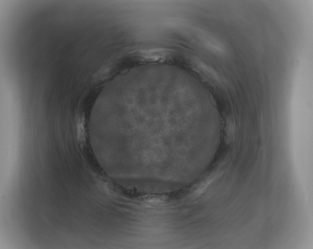 X0000110761394200906291019