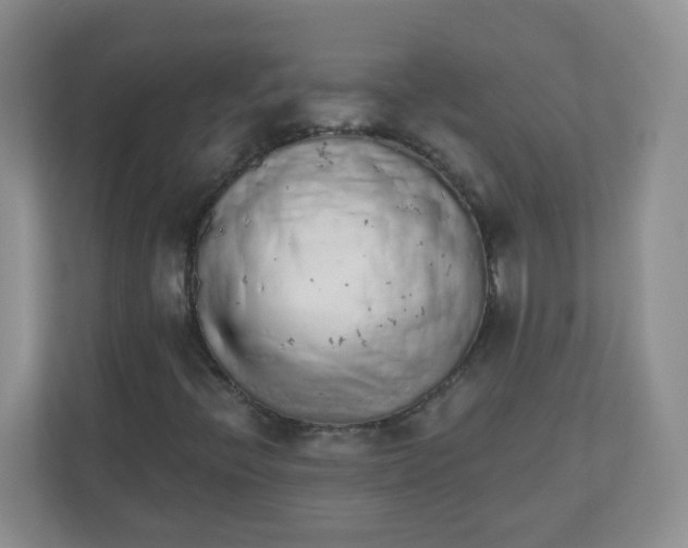 X0000110761396200906291019