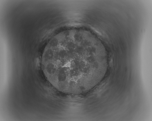 X0000110761397200906291019