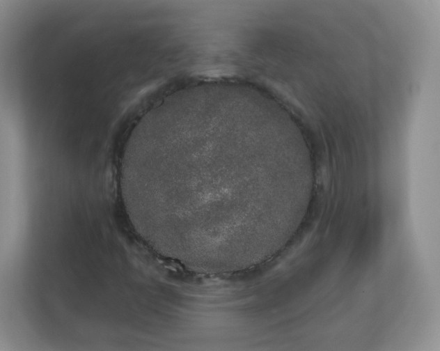 X0000110761398200906291019