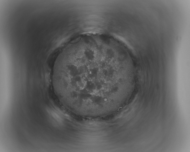 X0000110761399200906291019