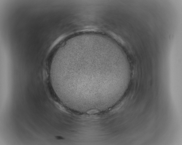 X0000110761400200906291019