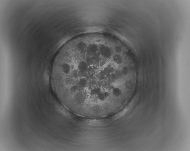 X0000110761401200906291019