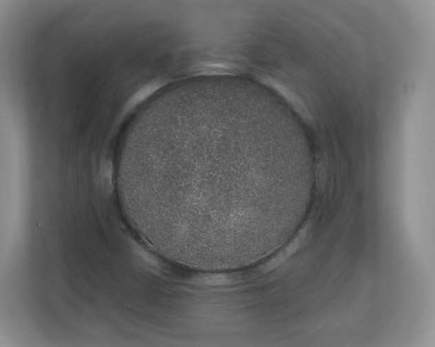 X0000110761402200906291019