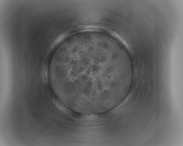X0000110761403200906291019