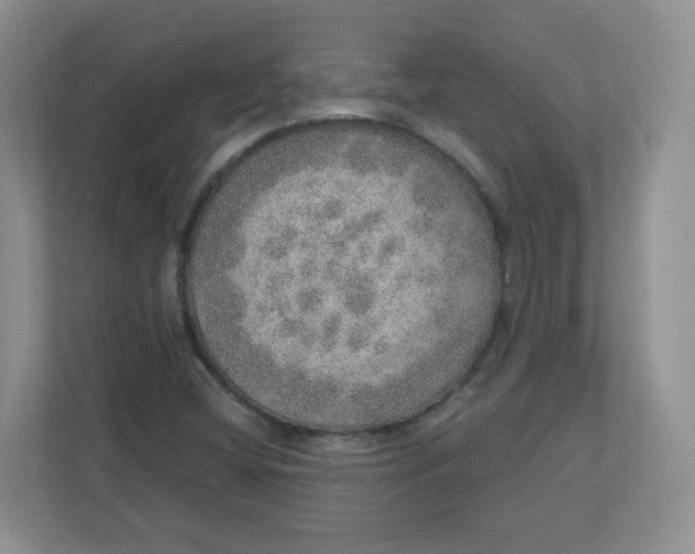 X0000110761404200906291019