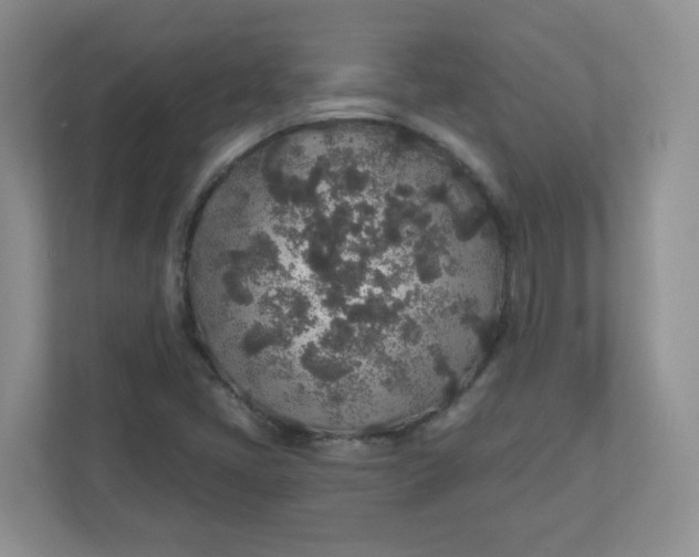 X0000110761405200906291019